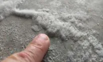 Fluffy Salt Crystals Are Not Mold