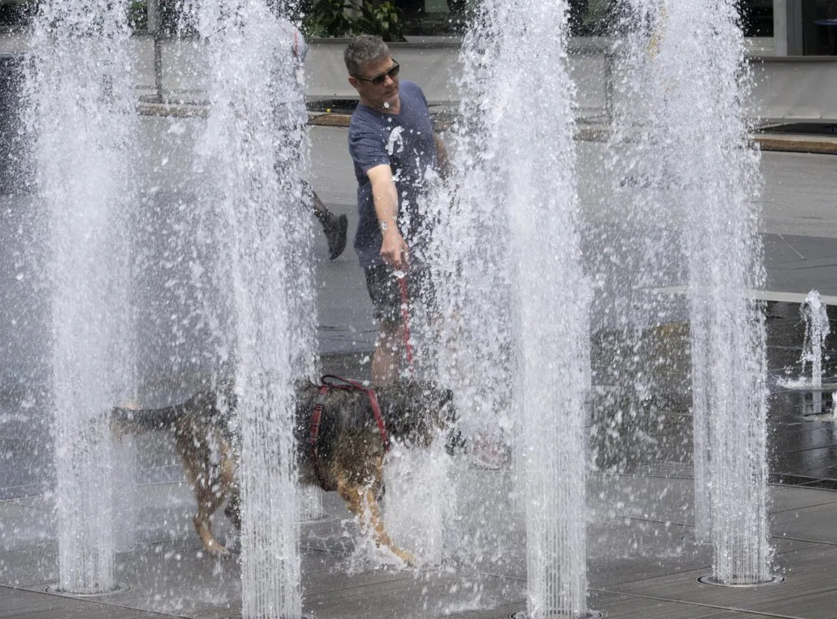 A man cools off his dog at a fountain as temperatures go above 30 C on July 20, 2022 in Montreal. (The Canadian Press/Ryan Remiorz)