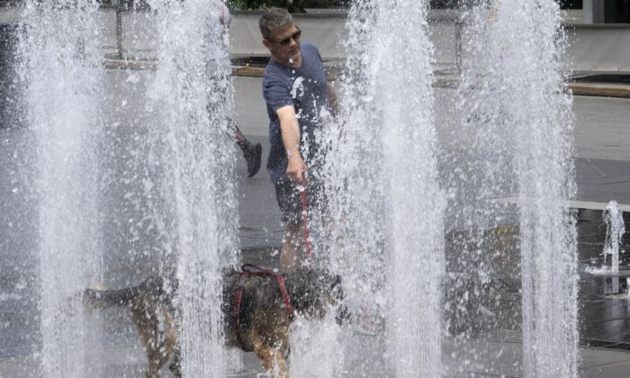 A man cools off his dog at a fountain as temperatures go above 30 C on July 20, 2022 in Montreal. (The Canadian Press/Ryan Remiorz)