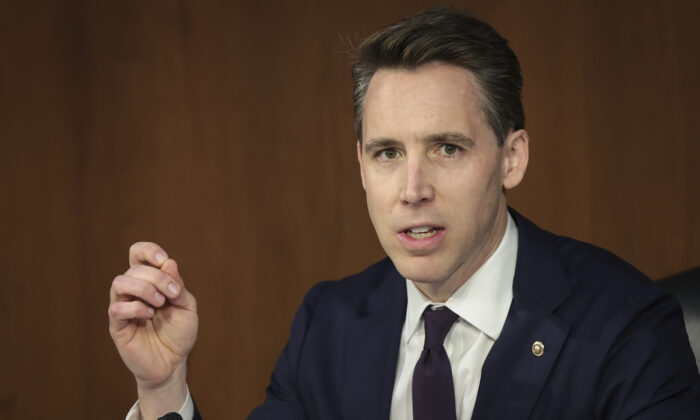 Sen. Josh Hawley (R-Mo.) speaks during a Senate Judiciary Committee business meeting on Capitol Hill in Washington, on April 4, 2022. (Win McNamee/Getty Images)