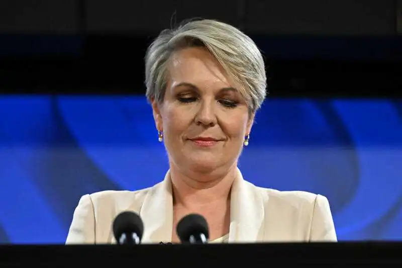 Minister for the Environment and Water Tanya Plibersek at the National Press Club in Canberra, Tuesday, July 19, 2022. (AAP Image/Mick Tsikas)