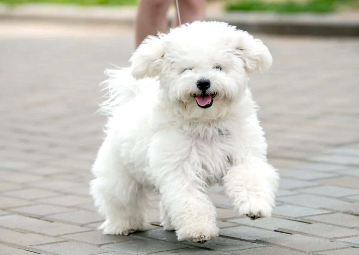 (Svet foto/Shutterstock)