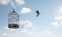 Are We Free By Right or Not?