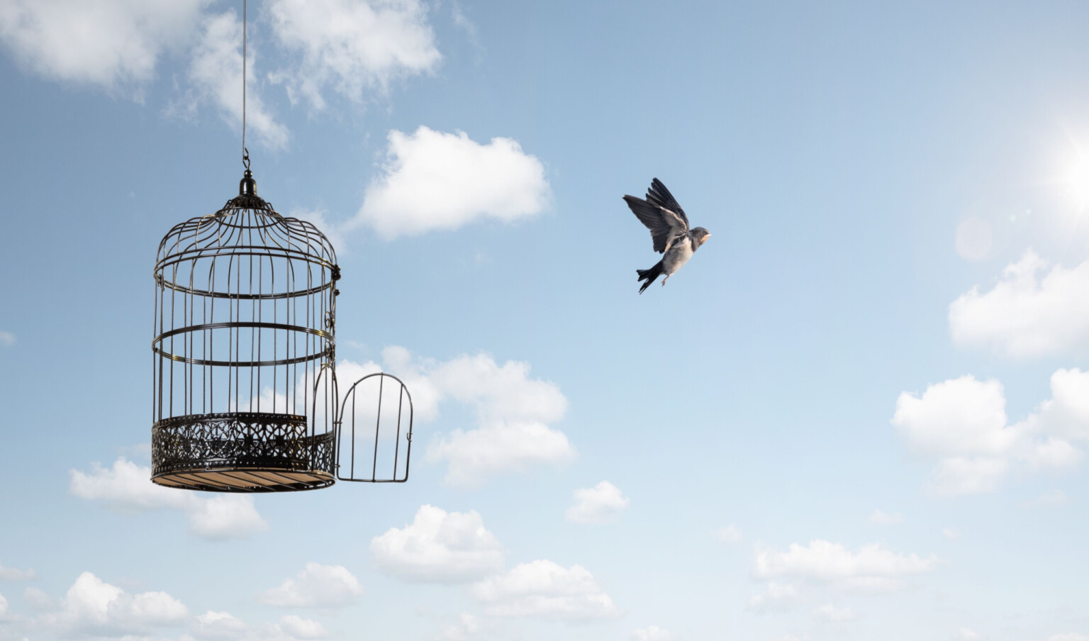 Are We Free By Right or Not? - Vimarsana News