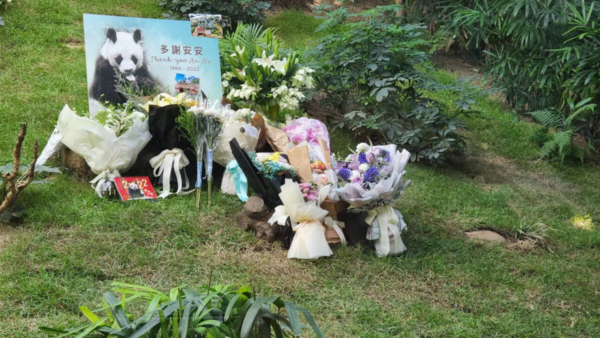 People come to mourn for An An in Ocean Park. July 21, 2022. (Doris Li/The Epoch Times)