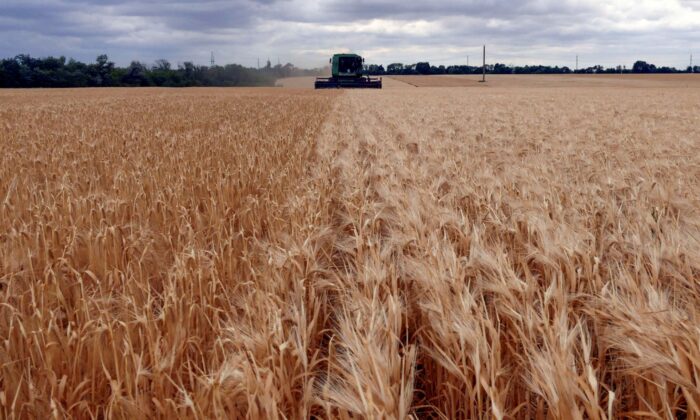 A combine harvests barley in a field in Odesa Region, Ukraine, on June 23, 2022. (Igor Tkachenko/Reuters)