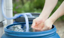 New Zealand’s Capital City Is Running out of Water