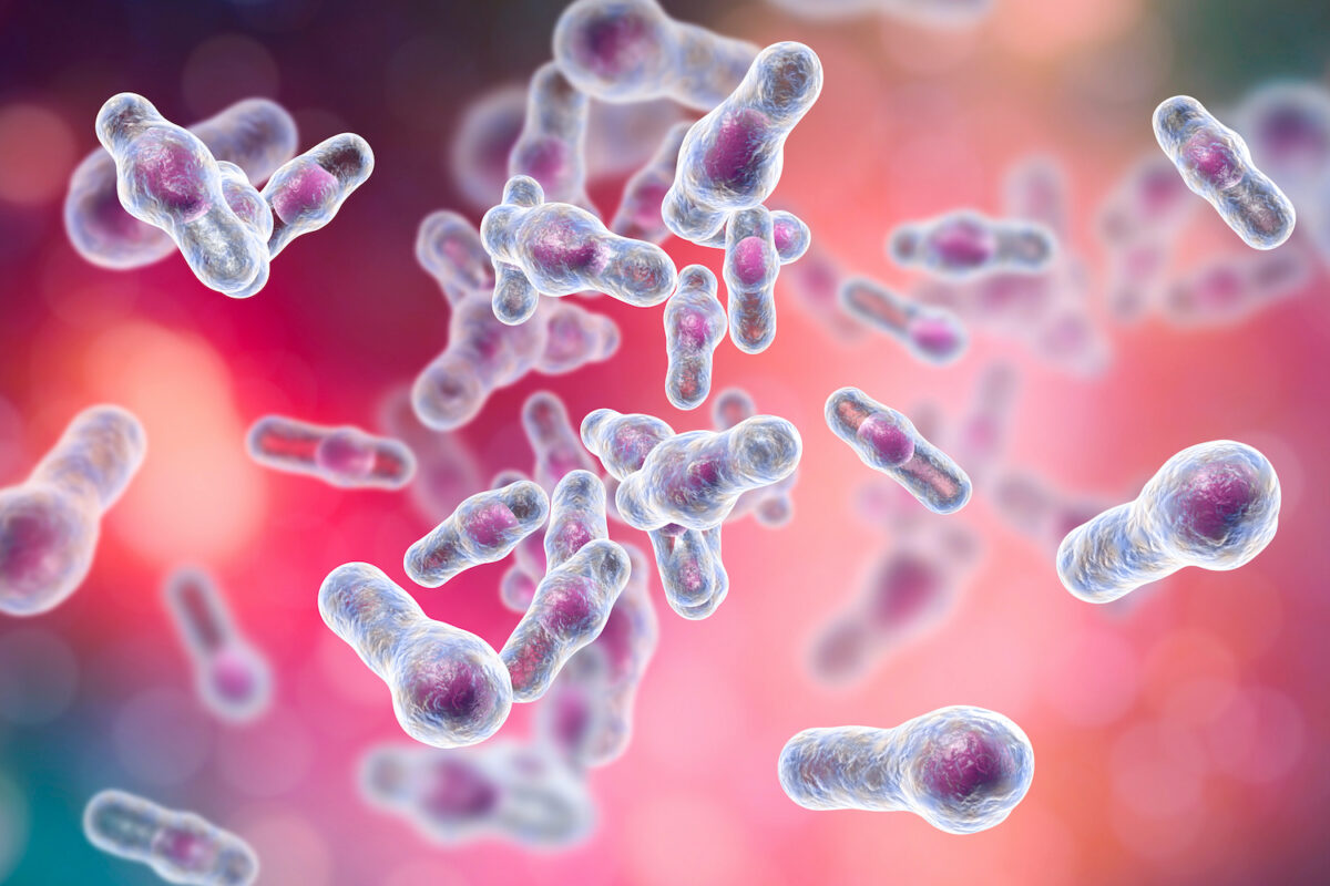 New research found that cells exposed to Clostridioides difficile (C. difficile) turned on genes that drive cancer and turned off genes that protect against it. (Shutterstock)