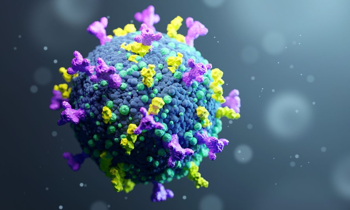3D rendered illustration of a mutating virus that causes COVID-19. (James Thew/Adobe Stock)