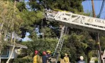 Landscaper in Critical Condition After Being Shocked by Power Line in Tustin