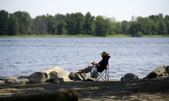 John Robson: Let’s Leave Literary Pomposity to the Deer Flies