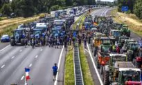 Convoy of Tractors Reaches Ministry of Agriculture in Madrid