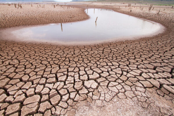 Epoch Times Photo