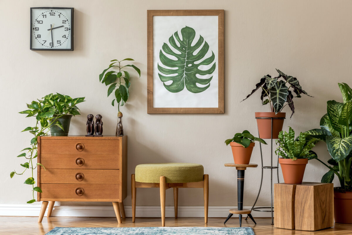 The Health Benefits of Bringing Nature Indoors