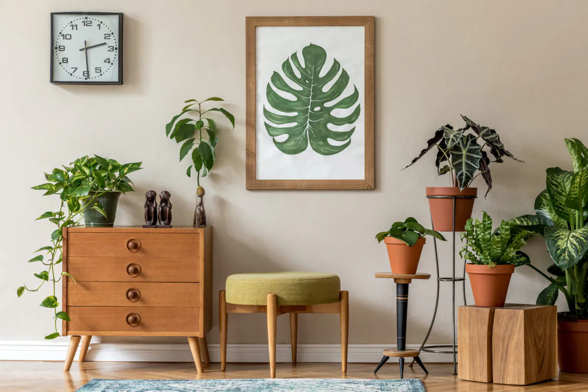 Researchers found evidence that plants enhance work performance and reduce stress.(Followtheflow/Shutterstock)