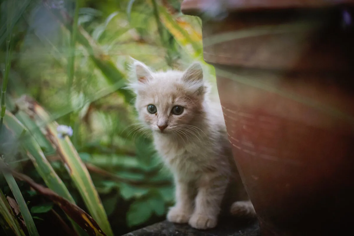 (Sindy Strife/Unsplash)