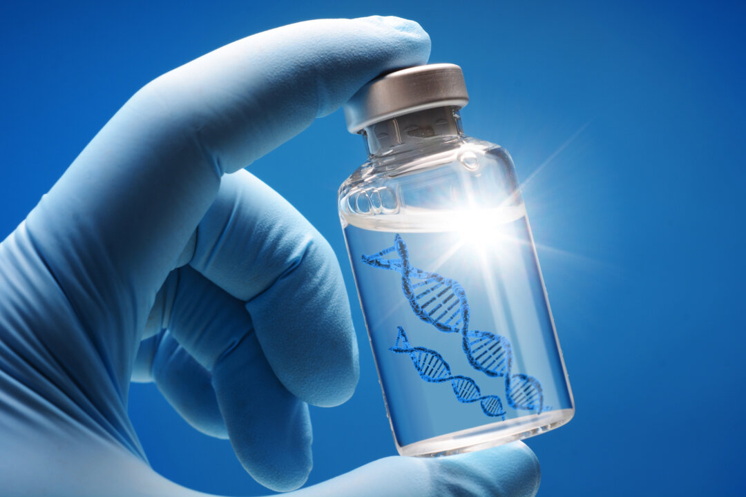 Australian government boosts mRNA-based heart disease treatment. (Dan Race/Shutterstock)