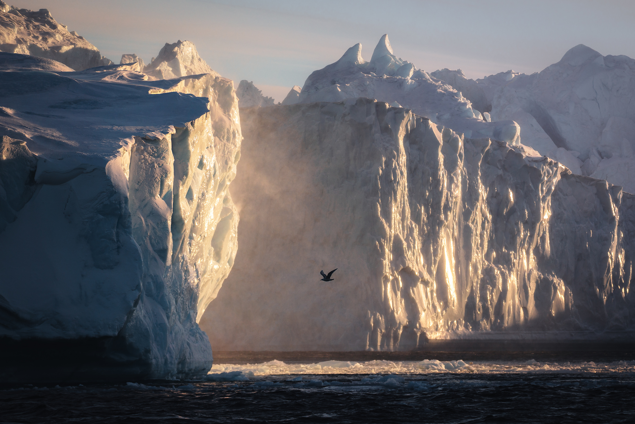 Finding the Unknown in Greenland - Vimarsana News