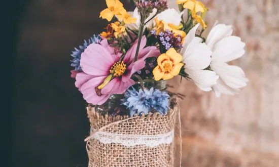 The Virtues of Upcycling: Upgrade Your Home, Cut Down on Waste, Let Your Creativity Run Wild