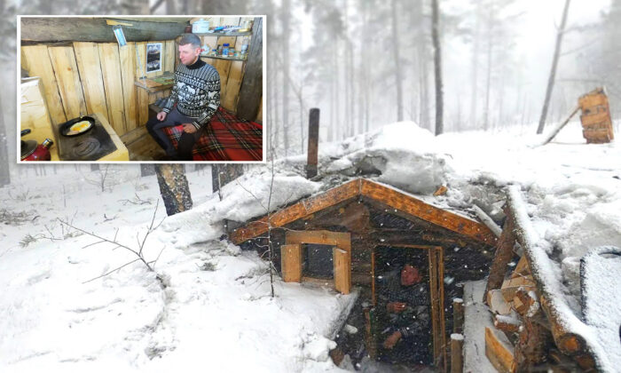 VIDEO: Man Builds Impressive Dugout Wooden Shelter in the Forest—'Life Is Unity With Nature'