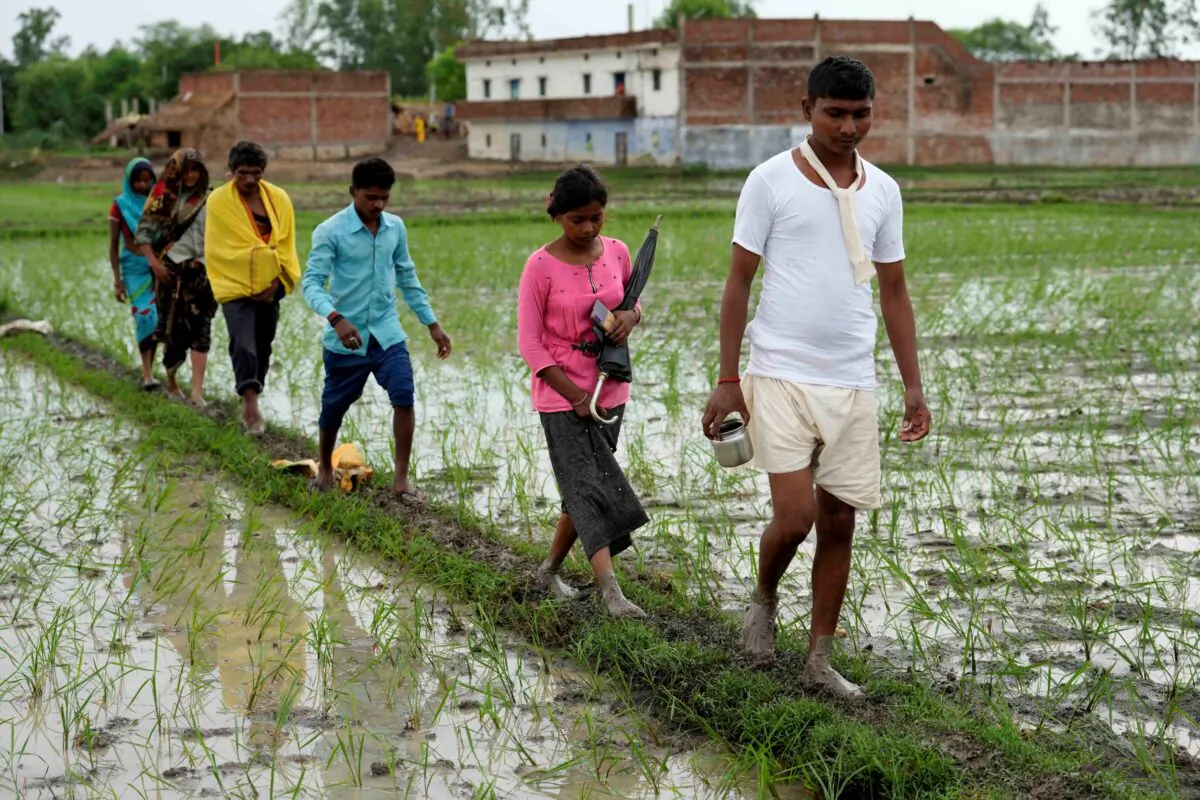 Sushil Kumar Bind leads his family members towards the field where his wife Khushboo who was killed by lightning on July 25 at Piparaon village on the outskirts of Prayagraj, in the northern Indian state of Uttar Pradesh, on July 28, 2022. (Rajesh Kumar Singh/AP Photo)