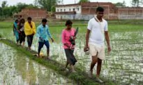 Lightning Kills Nearly 50 This Week in India’s Uttar Pradesh