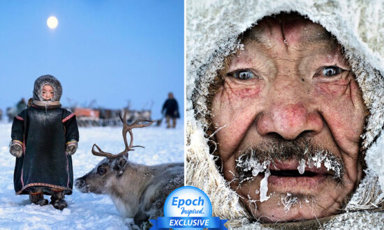 ‘They Are the Last’: Rare Photos of the Reindeer Herders Who Live in the Freezing Arctic Siberia