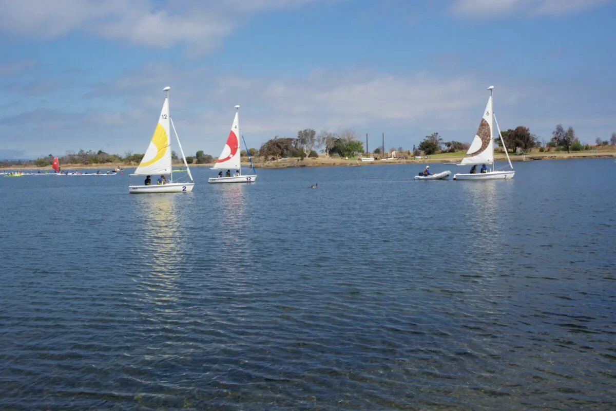 Sailboats cross Shoreline Lake in Mountain View, Calif. (Courtesy of Karen Gough)