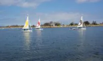 Nature Abounds at This Manmade Park in Silicon Valley