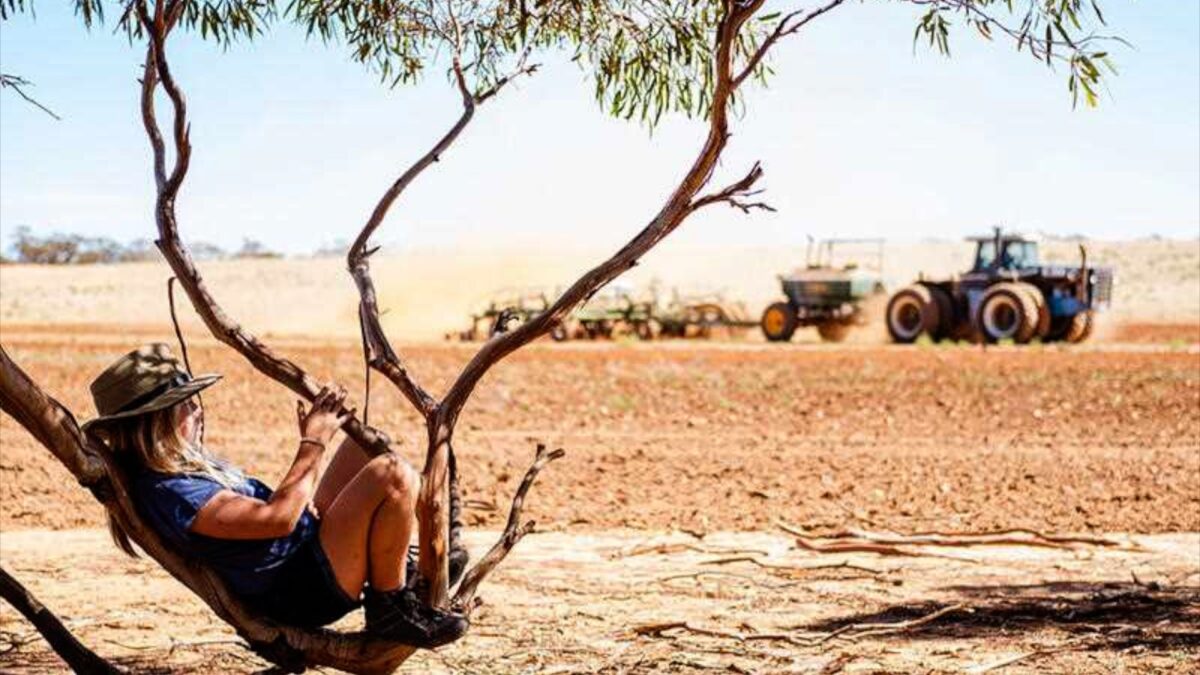 Mildura Emerges as Australia’s Richest Farming Region