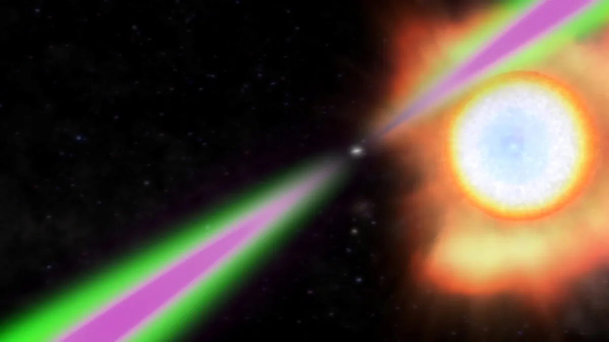 A spinning neutron star periodically swings its radio (green) and gamma-ray (magenta) beams past Earth in this artist's concept of a black widow pulsar. (NASA/Goddard Space Flight Center/Handout via Reuters)