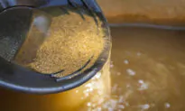 DIY Treasure Hunting: How to Find Gold and Jewels