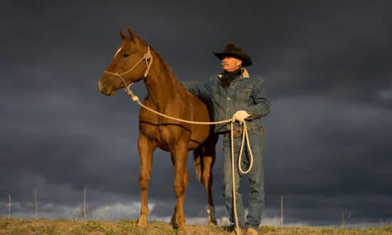 Book Review: ‘Think Like a Horse: Lessons in Life, Leadership, and Empathy From an Unconventional Cowboy’