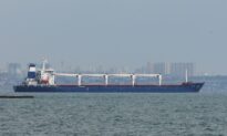 1st Ship Carrying Ukrainian Grain Leaves the Port of Odesa