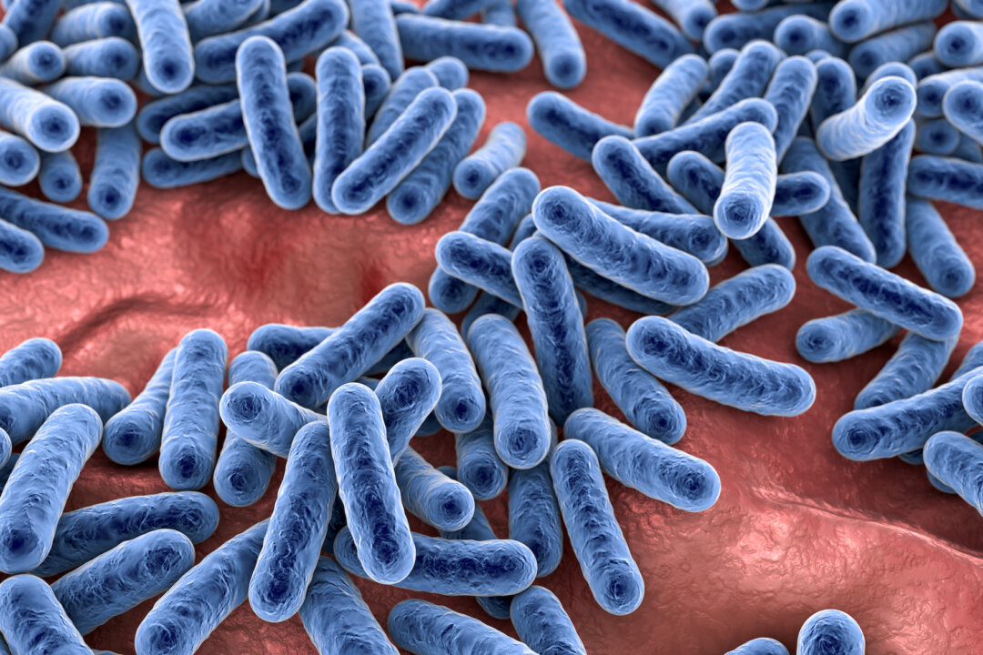 Human microbiome.(Kateryna Kon/Shutterstock)