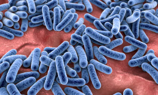 Mamas, Your Microbes May Affect Your Children’s Health