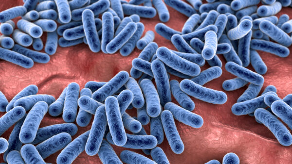 Killing Bacteria with Antimicrobials and Antibiotics May Be Shortsighted, According to New Science About the Microbiome (Part 1)