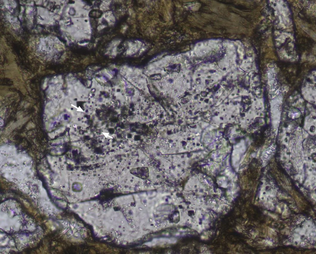 An Image from James Cook University showing metaphoric diamonds, identified by the white arrows. The photo is taken from a microscope showing metamorphic diamonds in rocks collected from the Clarke River Fault west of Paluma obtained on Thursday, July 28, 2022. (AAP Image/Supplied by James Cook University)