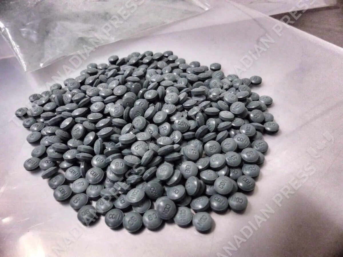 Fentanyl pills are shown in an undated police handout photo. (The Canadian Press/HO/Alberta Law Enforcement Response Teams (ALERT))