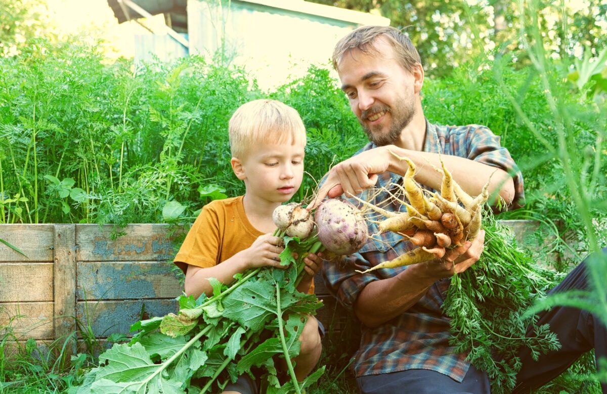 You can grow a surprising amount in a small garden space. (Gargonia/Shutterstock)