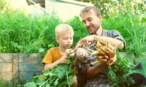 Thinking Mini: How to Make the Most of a Small Garden Space