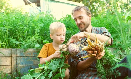 Thinking Mini: How to Make the Most of a Small Garden Space