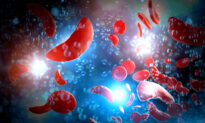 Sickle Cells Get Tripped up by Sticky Ones