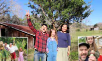 Couple Leave the City and Transition to a Homestead Life in the Mountains to Live Intentionally
