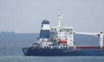 Inspectors OK First Ukraine Grain Ship but No Sign yet of More
