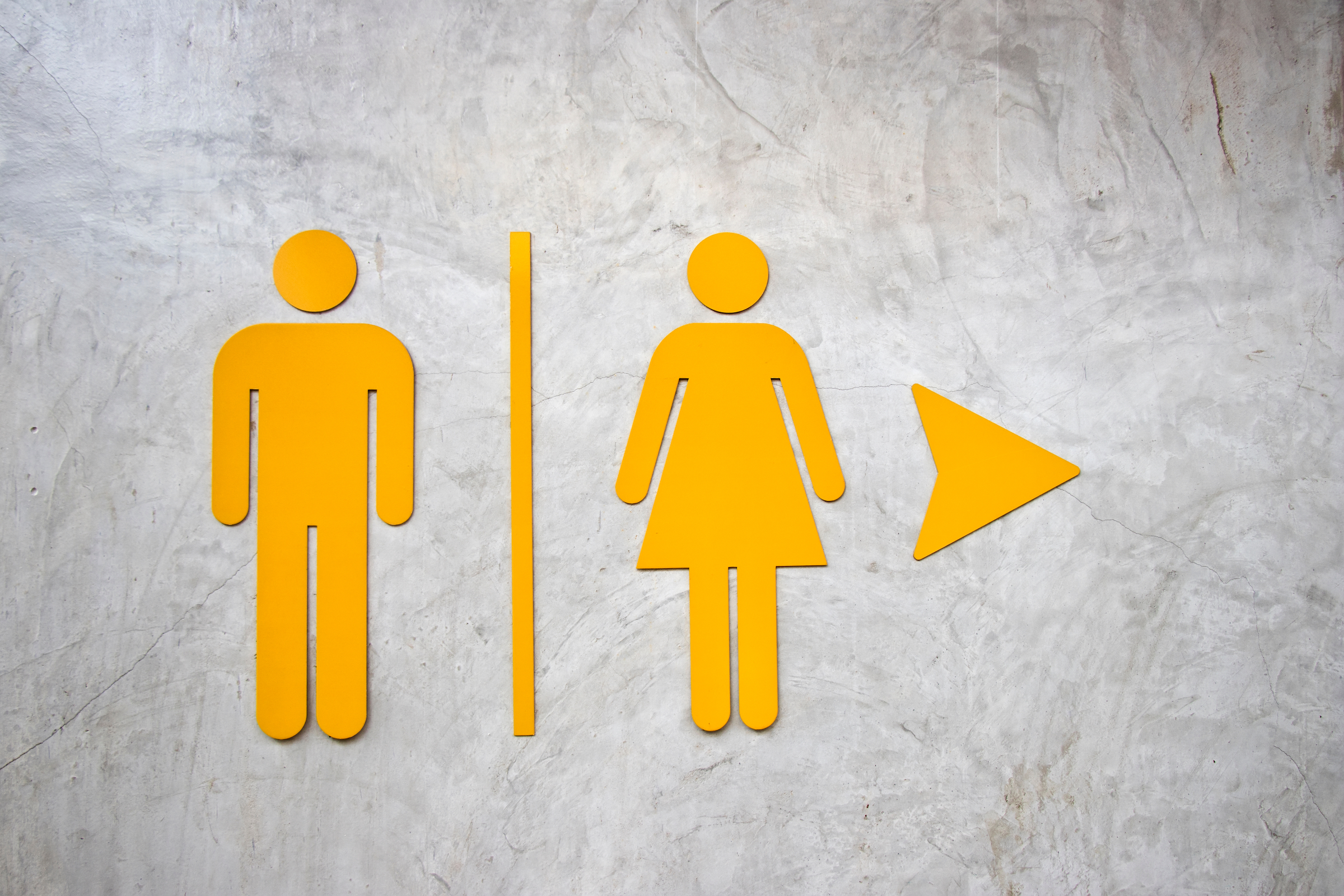 Appeals Court Upholds Florida School's Policy of Basing Restroom Access on Biological Sex - Vimarsana News