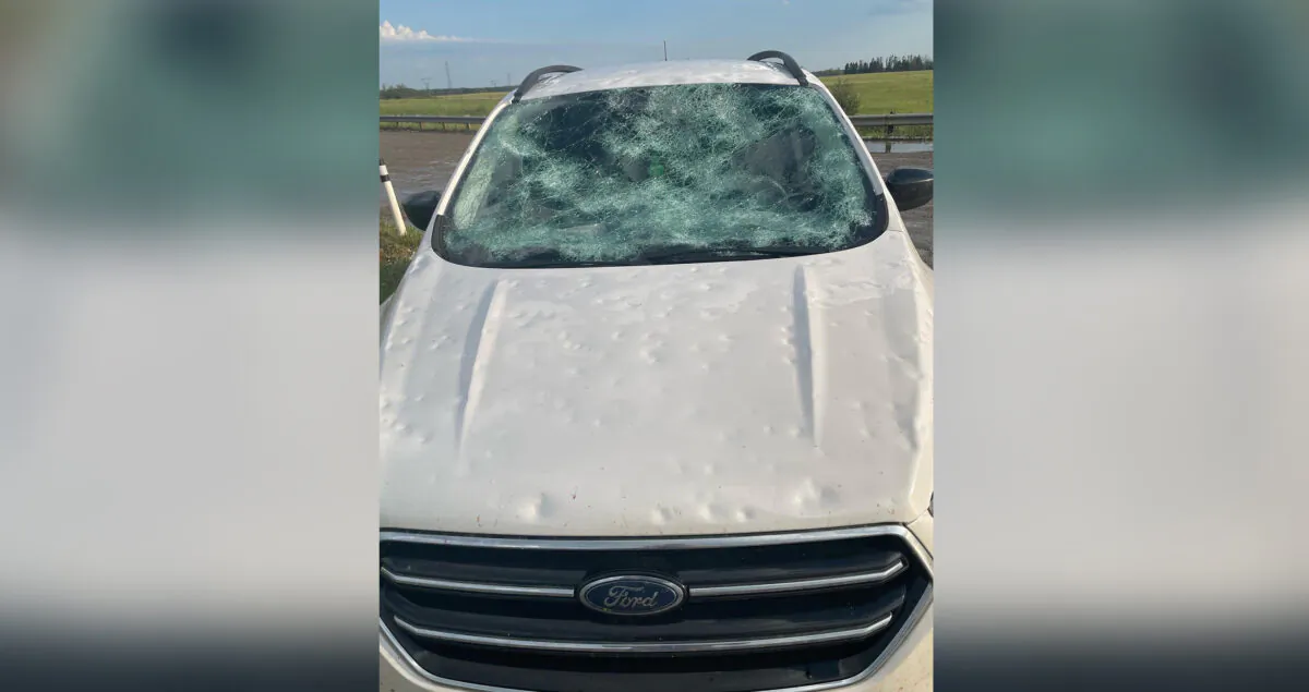 Damage to a car is shown after a hailstorm near Innisfail, Alta. in a Aug.1, 2022, handout photo. (The Canadian Press/Matt Berry/Arktos Graphics)