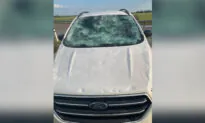 Hail as Big as Tennis Balls, Softballs and Eggs Fell in Alberta: Environment Canada