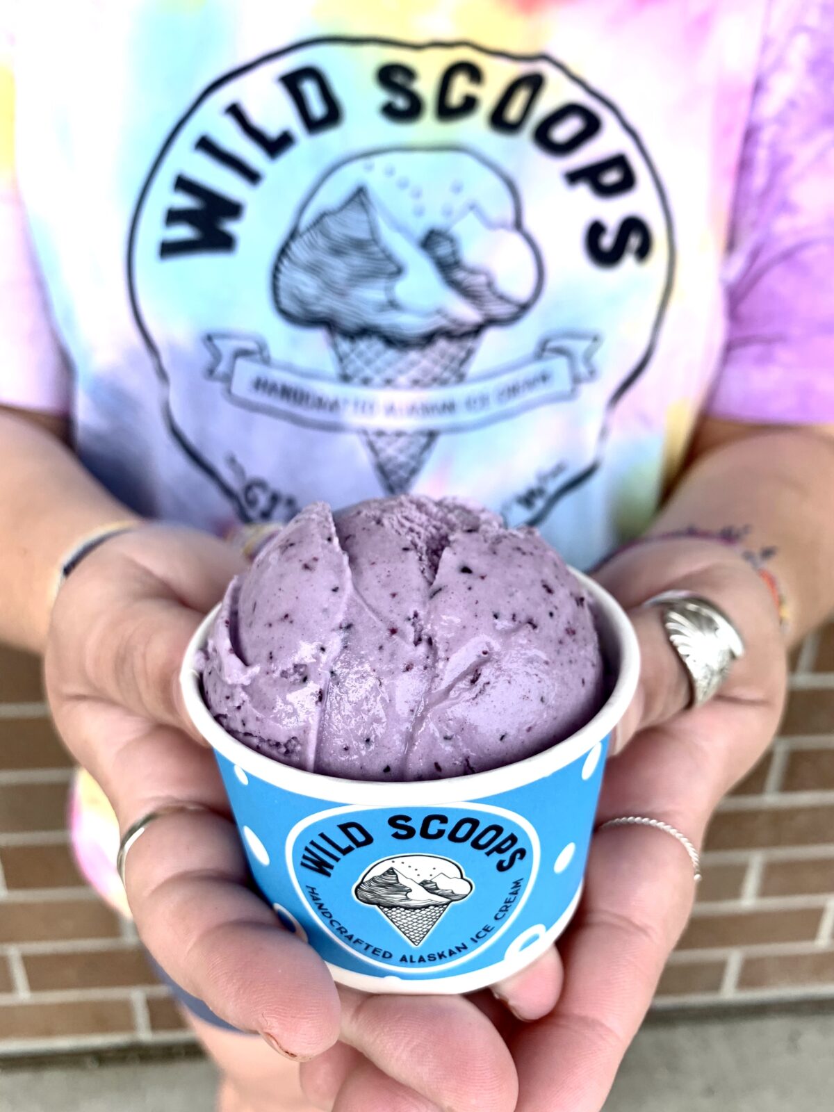 wild alaskan blueberry ice cream