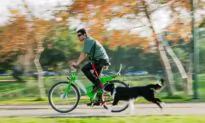 Can You Ride A Bike With Your Dog?